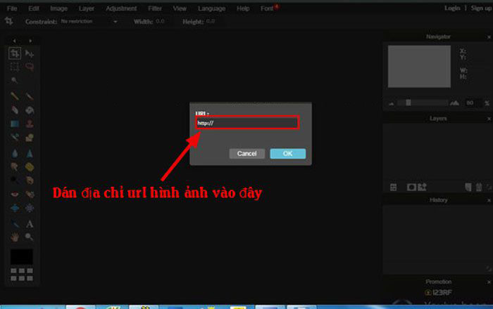 Dán url ảnh vừa sao chép được vào website photoshop online