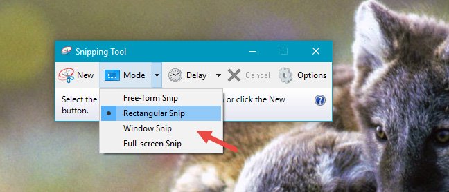 Chụp màn hình cùng với Snipping Tool