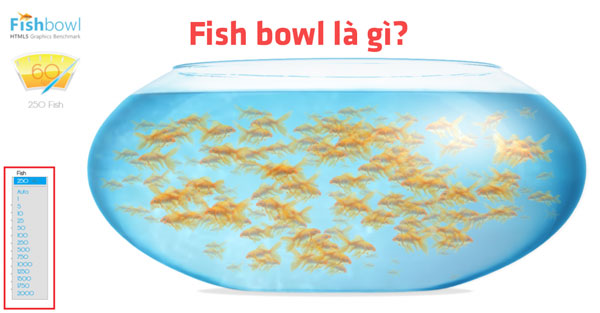 Fish bowl là gì?