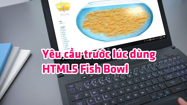 Yêu cầu trước lúc dùng HTML5 Fish Bowl