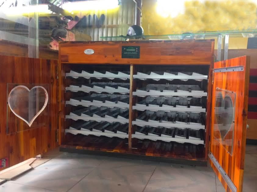 Hướng dẫn các lưu ý kỹ thuật ấp trứng vịt bằng máy