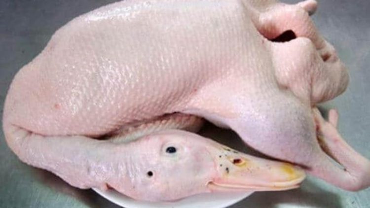 Cách chọn ngan thịt sẵn