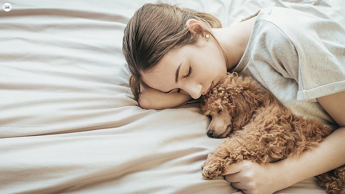 Nguyên nhân chó con ngủ ngáy và hay bị co giật