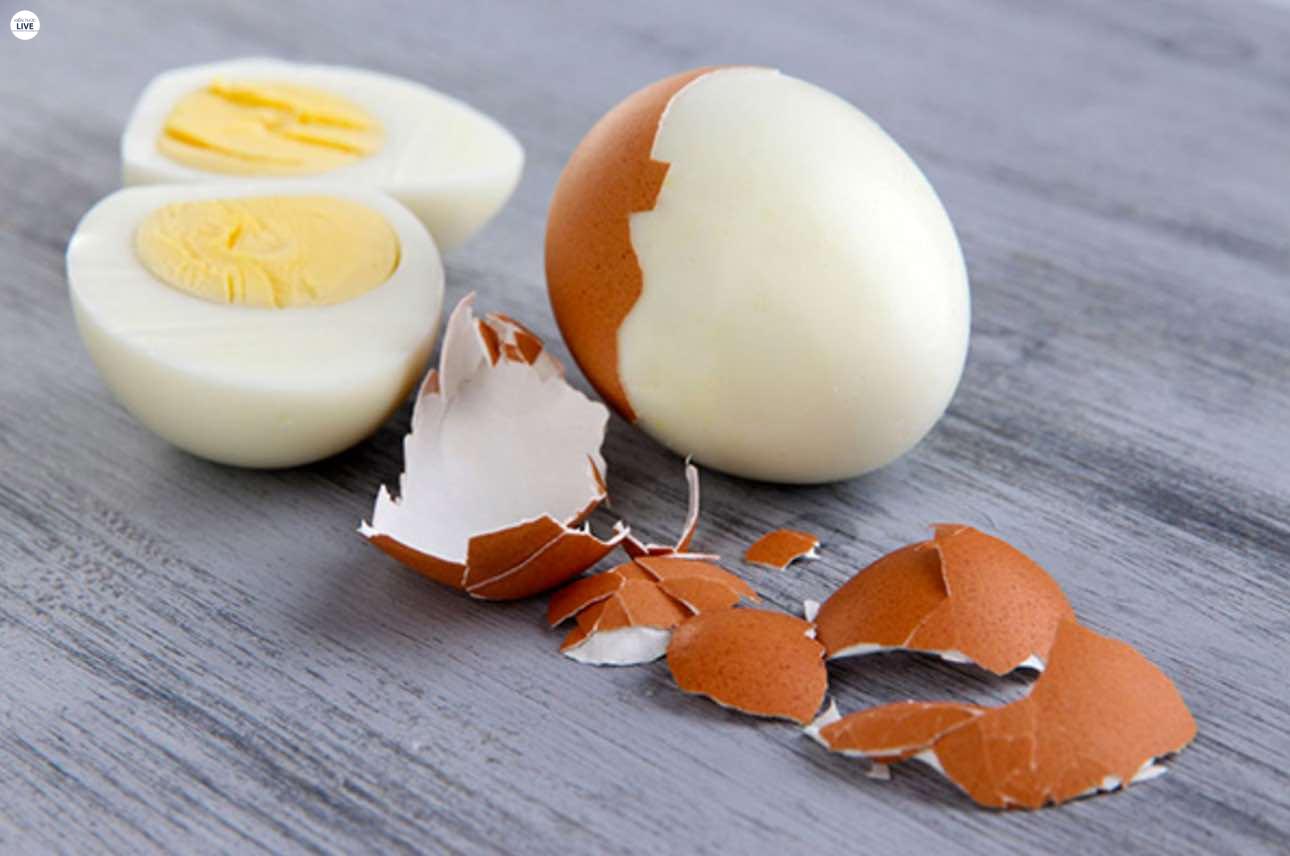 Cho chó ăn trứng gà sống có được không?